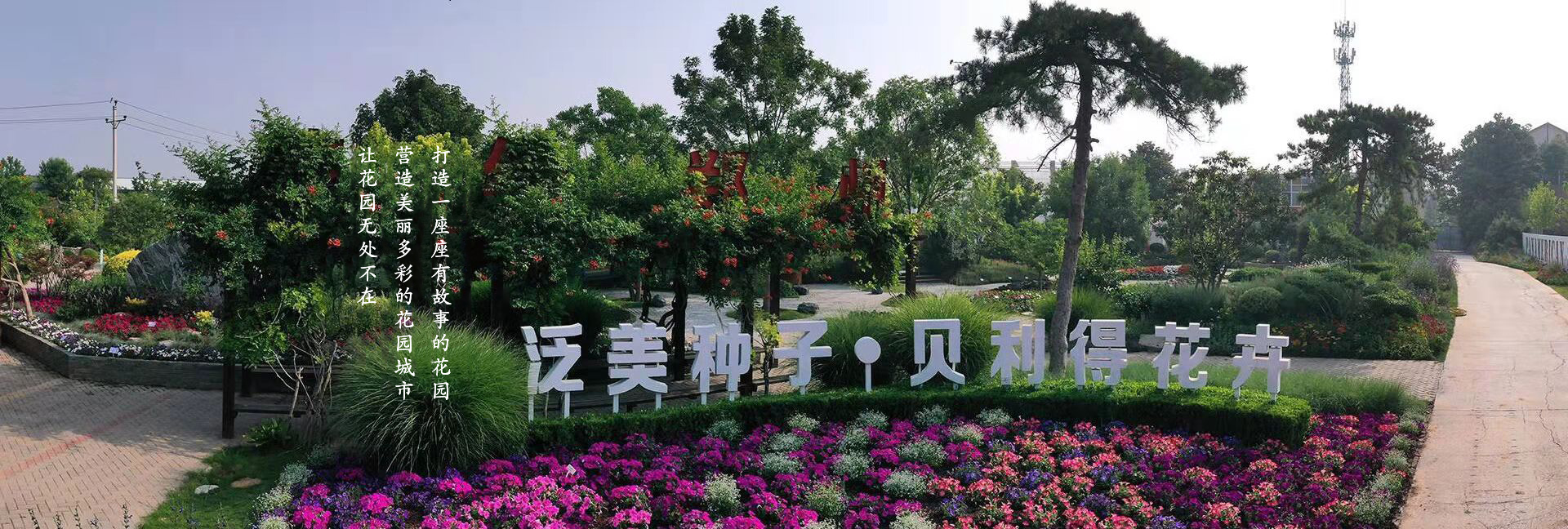 首頁(yè)主圖